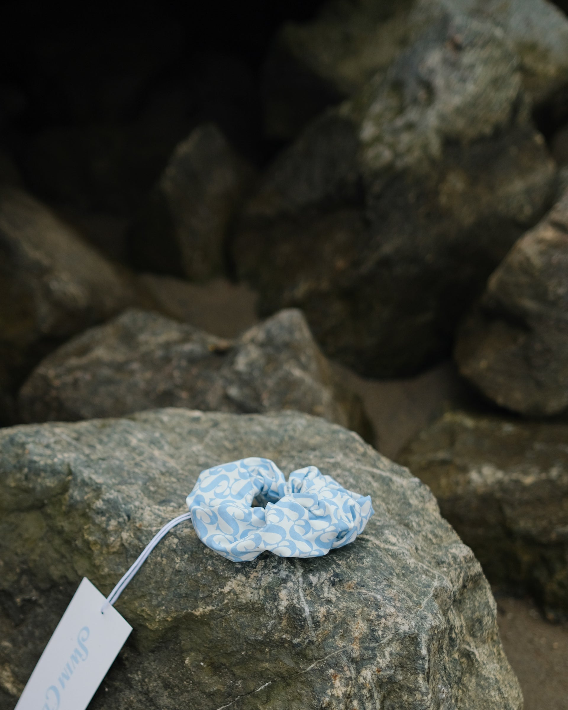 SWIM CLUB Scrunchie Head band Logo print